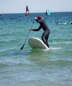 SIREN guppy 8.2 und Navigator NXL2