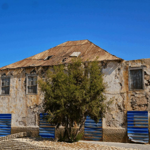 Boa Vista Waterweek mit SIREN SUPsurfing 2026