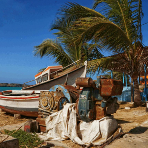 Boa Vista Waterweek mit SIREN SUPsurfing 2026