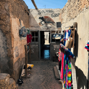 Boa Vista Waterweek mit SIREN SUPsurfing 2026